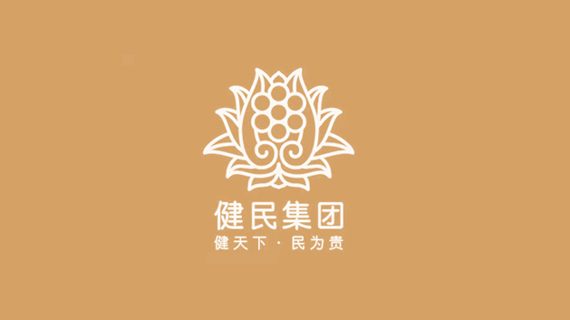 健民集團(tuán)logo與vi設(shè)計(jì)