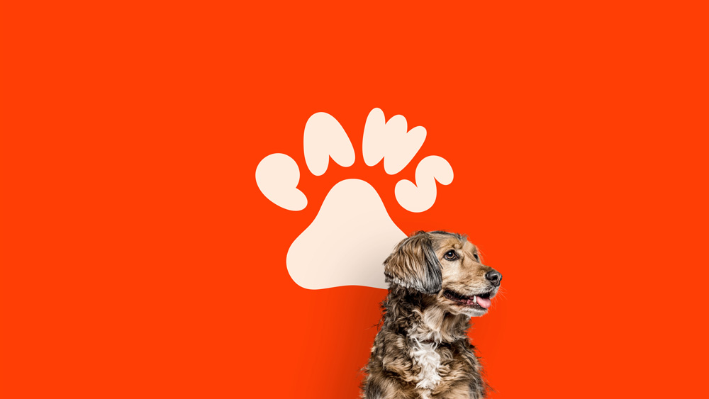 Paws應用002