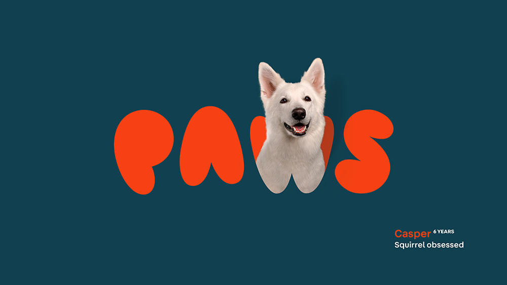 Paws應用003