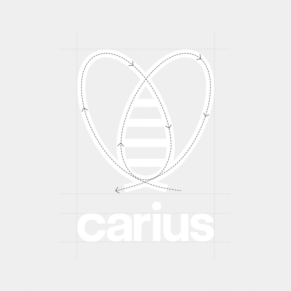 Carius應(yīng)用002